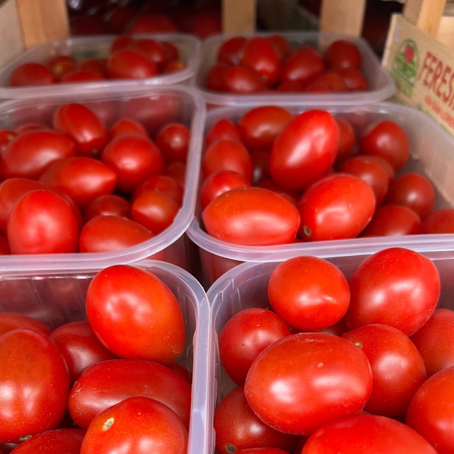 Datterini Tomaten aus dem Friaul - Feresin