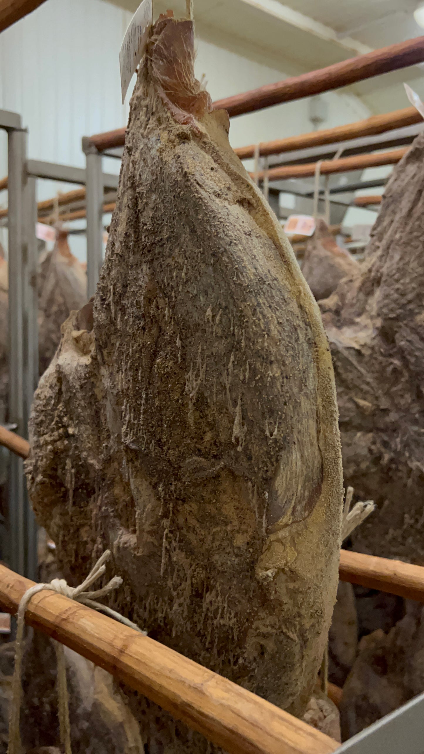 Speck geräuchert, getrocknet - Molinari (Udine)