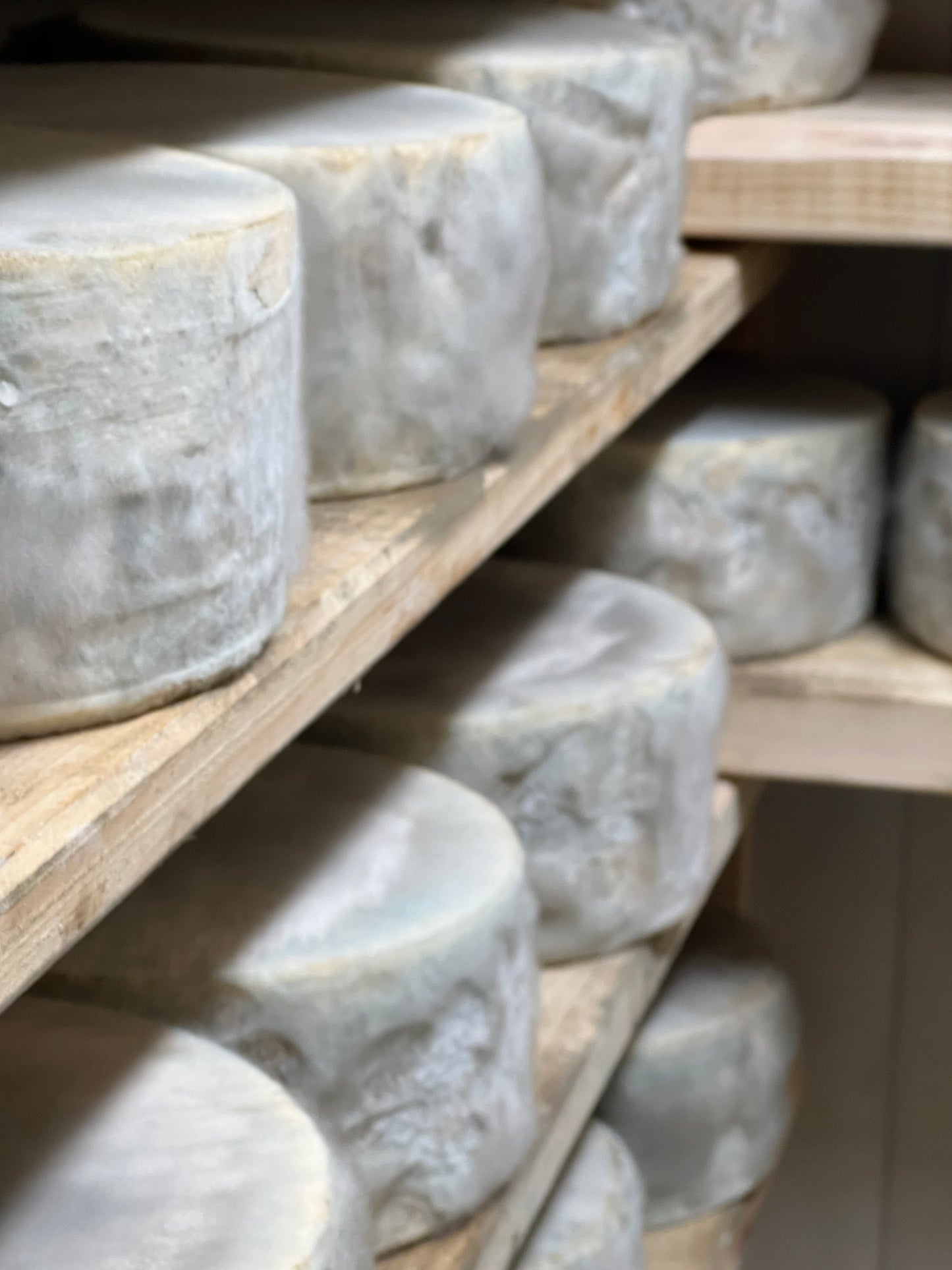 Höhlenkäse Jamar - Dario Zidaric