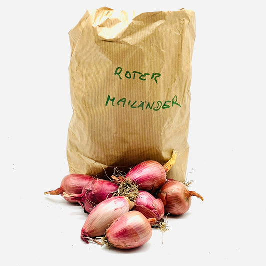 Zwiebel Roter Mailänder - Erich Stekovics