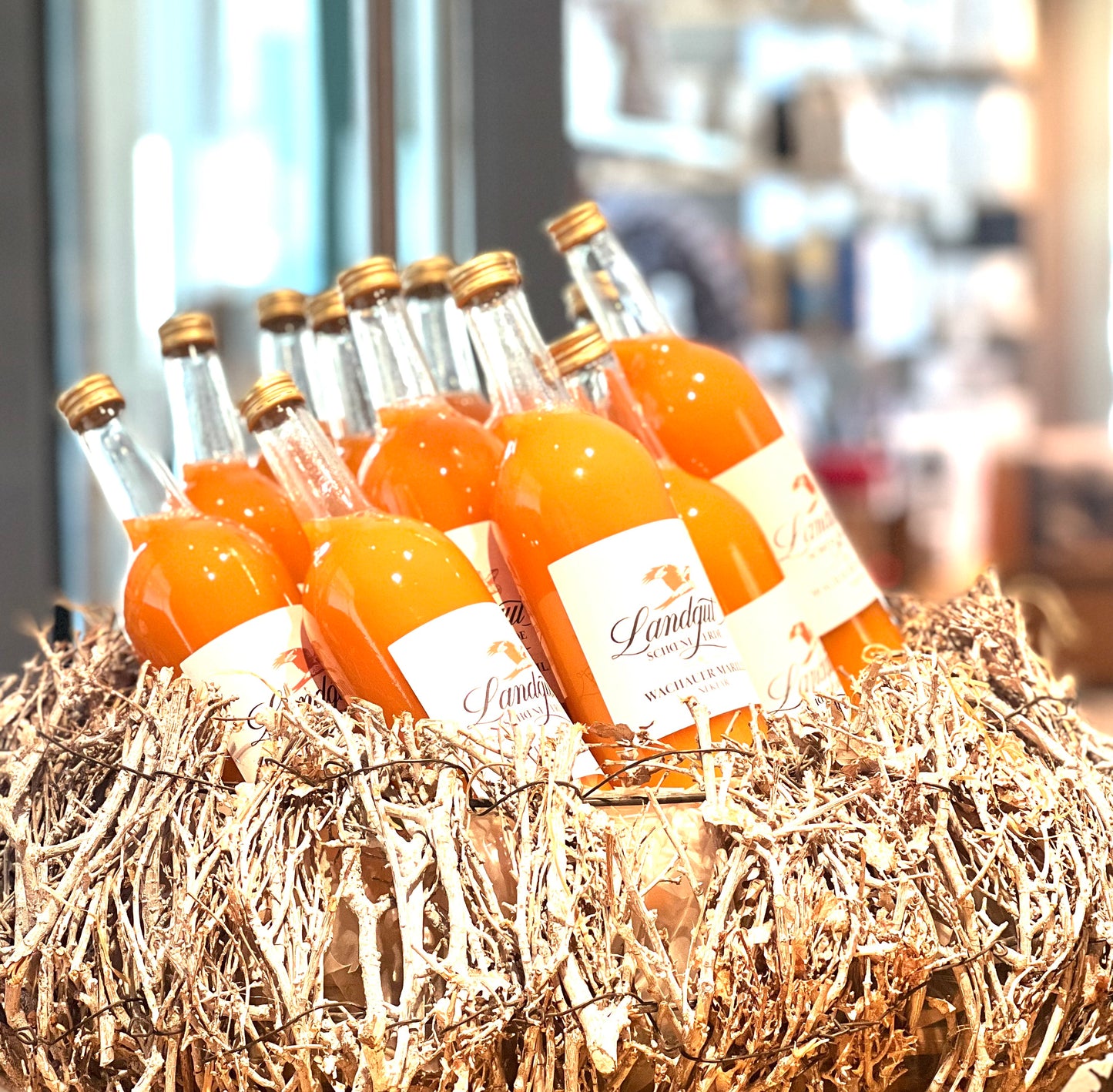 BIO Wachauer Marillennektar - Landgut Schöne Erde