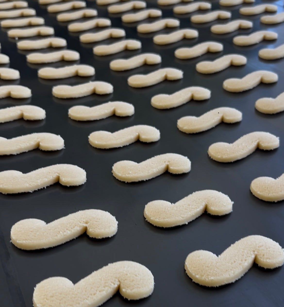 Biscotti 850g - Esse di Raveo Bonanni