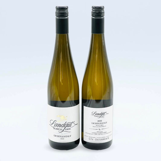 Muscaris Lichtgestalt 2022 - Landgut Schöne Erde