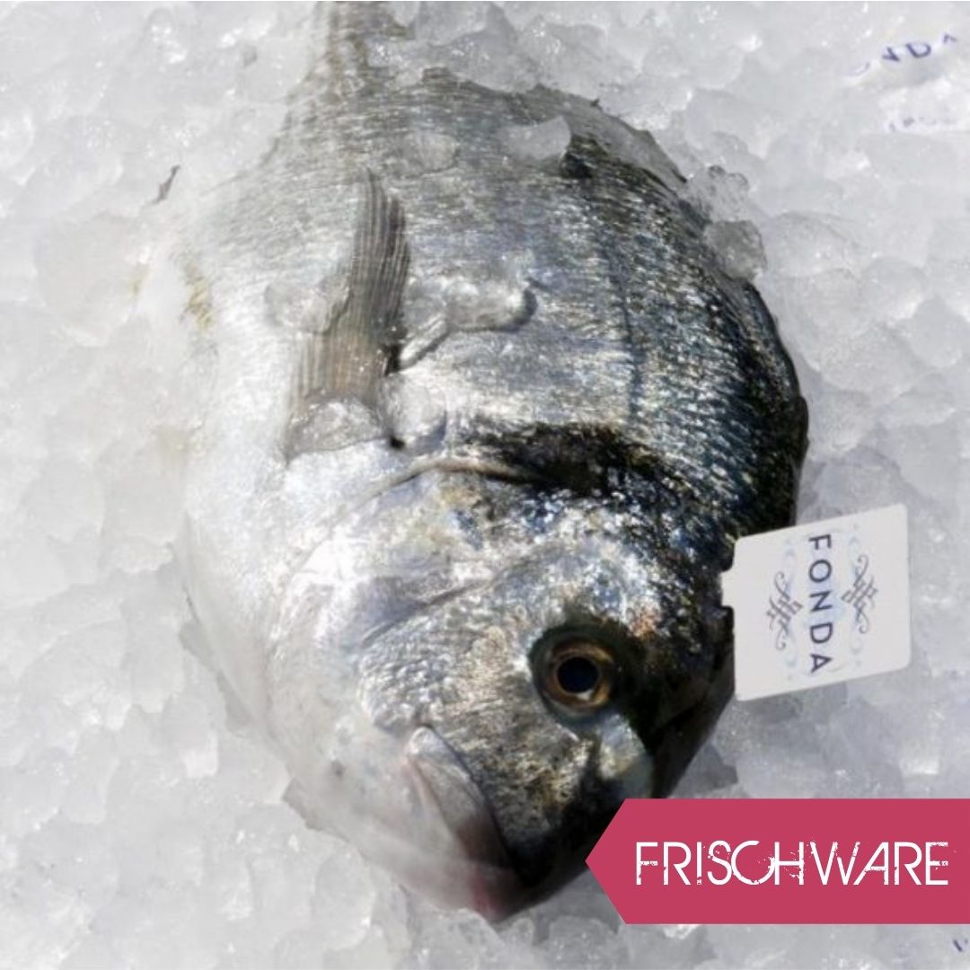 Dorade ganz, frisch - Irena Fonda