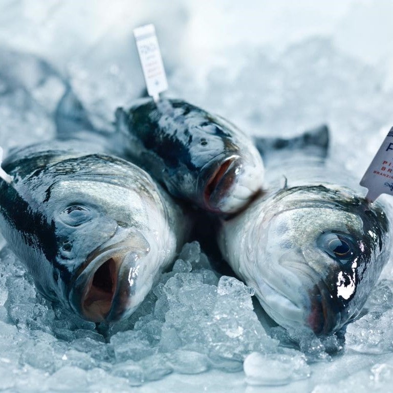 Branzino Wolfsbarsch FONDA online bestellen