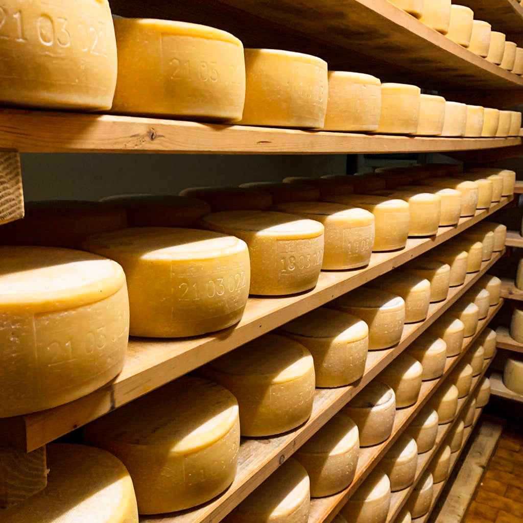 Tabor Hartkäse - Dario Zidaric