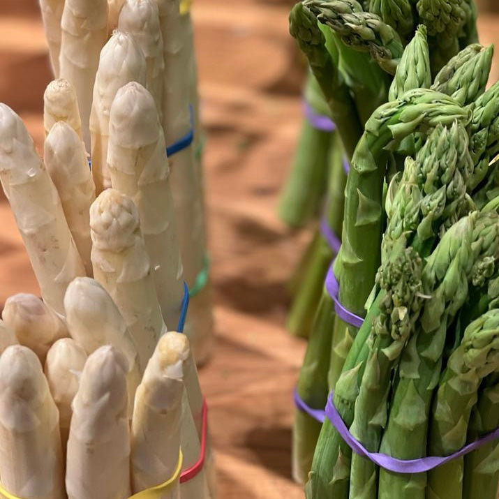 Weißer Lavanttaler Solospargel - Kammerhof Jäger